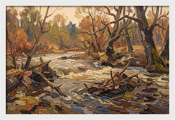 Spring Flood Waters Rushing Through Trees