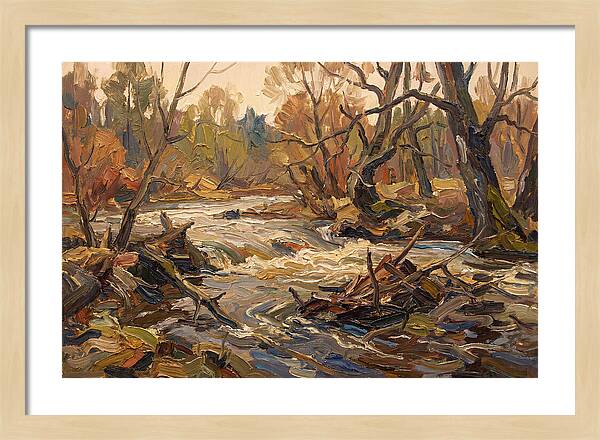 Spring Flood Waters Rushing Through Trees