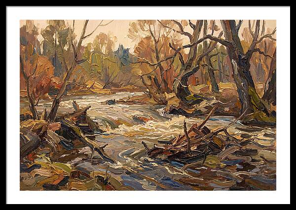 Spring Flood Waters Rushing Through Trees