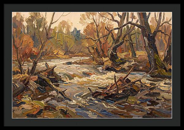 Spring Flood Waters Rushing Through Trees