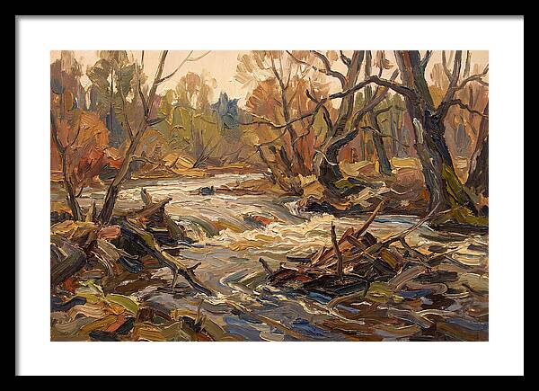 Spring Flood Waters Rushing Through Trees