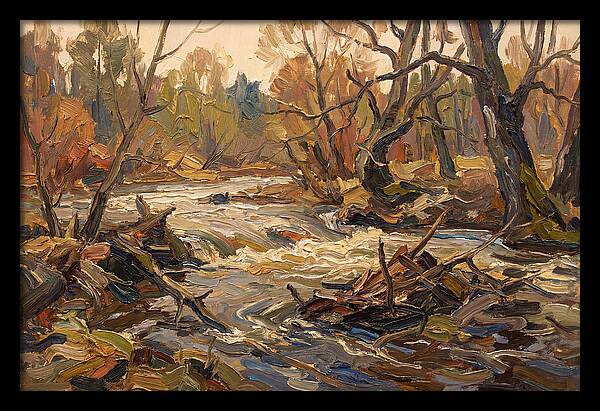 Spring Flood Waters Rushing Through Trees