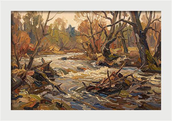 Spring Flood Waters Rushing Through Trees