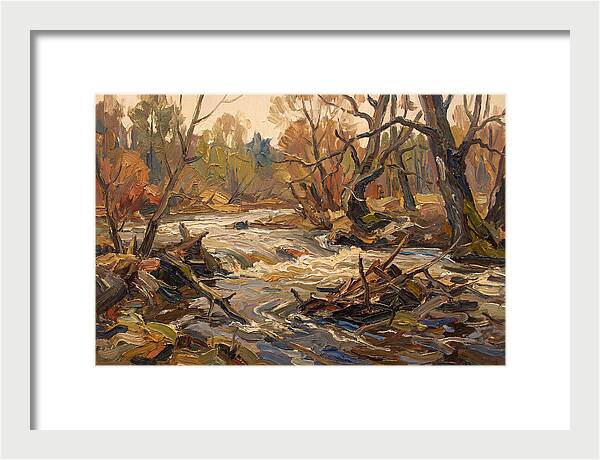 Spring Flood Waters Rushing Through Trees