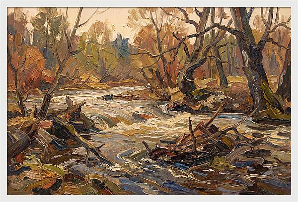 Spring Flood Waters Rushing Through Trees