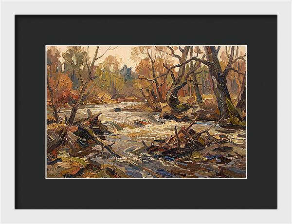 Spring Flood Waters Rushing Through Trees
