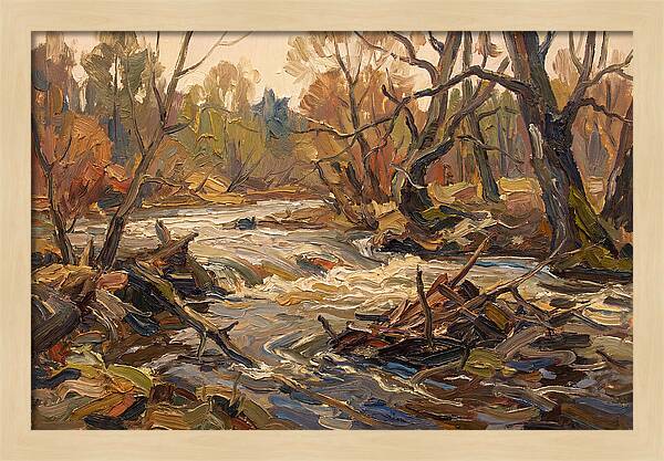 Spring Flood Waters Rushing Through Trees
