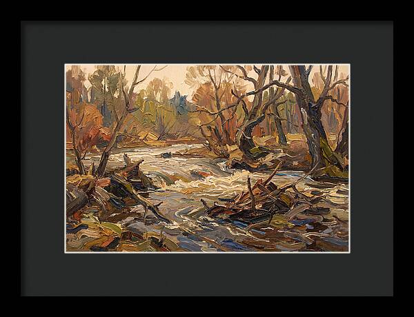 Spring Flood Waters Rushing Through Trees