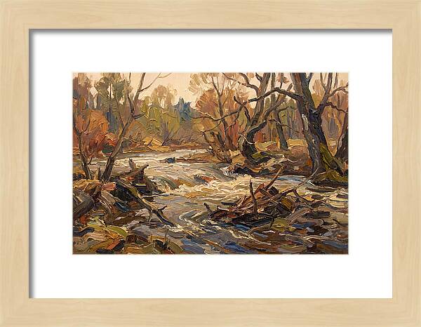 Spring Flood Waters Rushing Through Trees