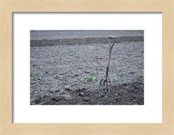 Spring Garden Fork In Freshly Turned Soil