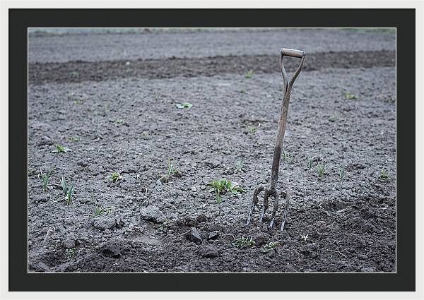 Spring Garden Fork In Freshly Turned Soil