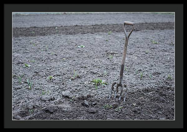 Spring Garden Fork In Freshly Turned Soil
