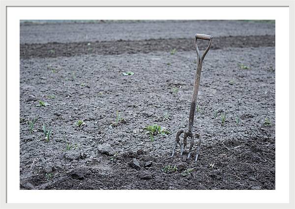 Spring Garden Fork In Freshly Turned Soil