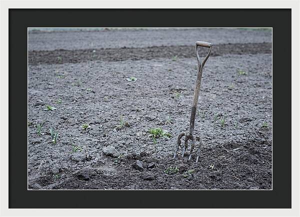 Spring Garden Fork In Freshly Turned Soil