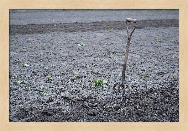 Spring Garden Fork In Freshly Turned Soil