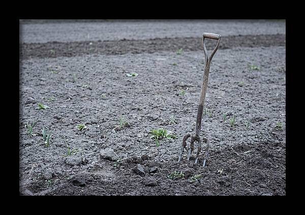 Spring Garden Fork In Freshly Turned Soil