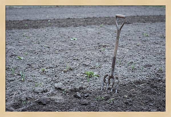 Spring Garden Fork In Freshly Turned Soil
