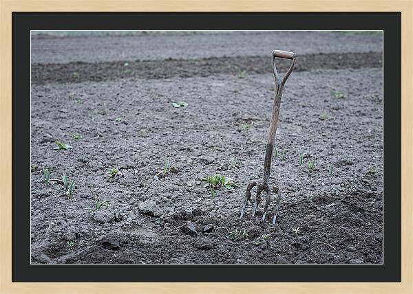 Spring Garden Fork In Freshly Turned Soil