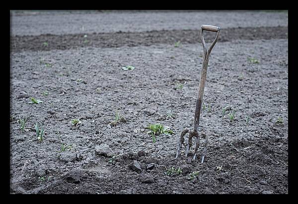 Spring Garden Fork In Freshly Turned Soil