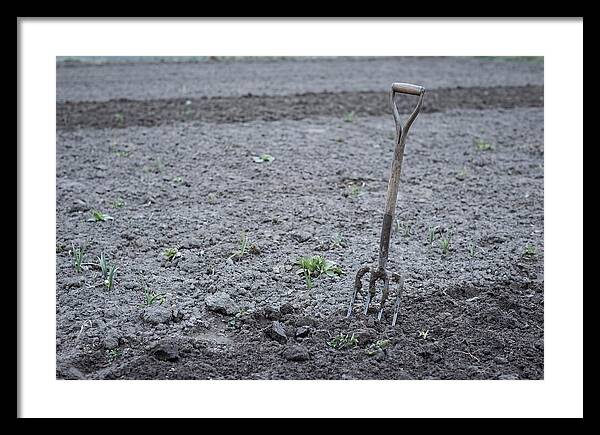 Spring Garden Fork In Freshly Turned Soil