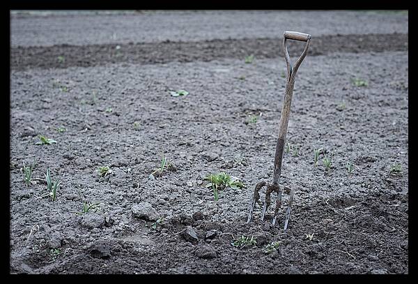 Spring Garden Fork In Freshly Turned Soil