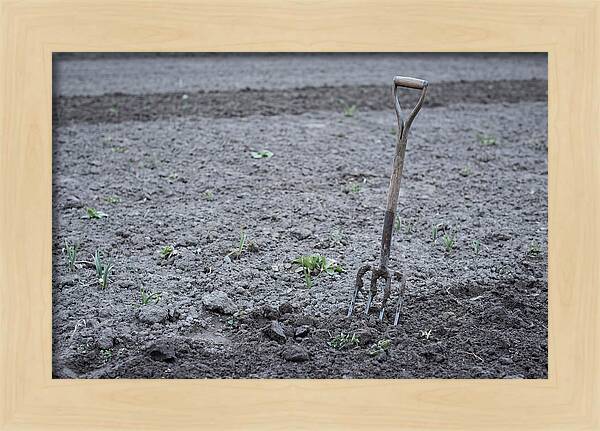 Spring Garden Fork In Freshly Turned Soil