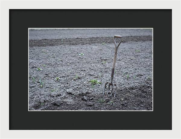 Spring Garden Fork In Freshly Turned Soil