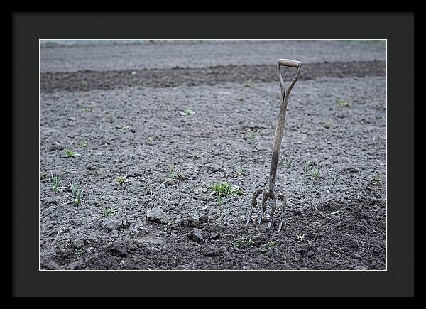 Spring Garden Fork In Freshly Turned Soil