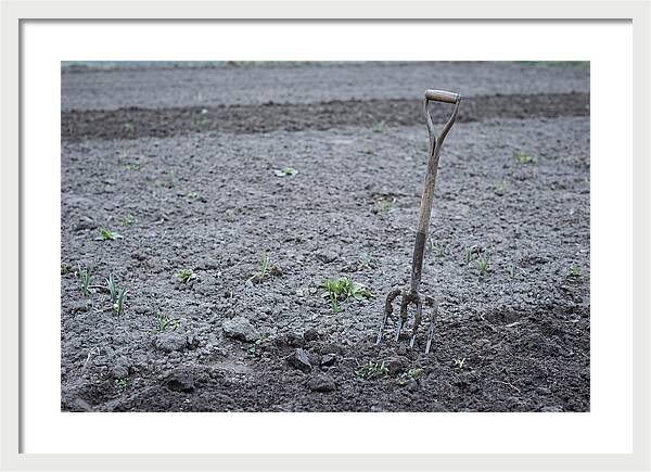 Spring Garden Fork In Freshly Turned Soil