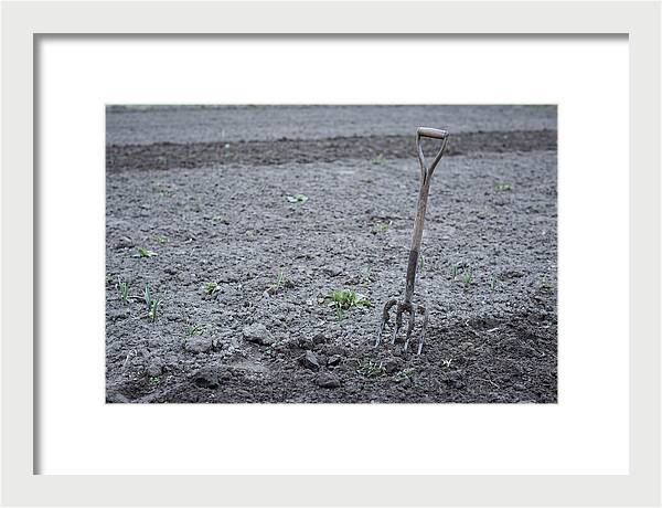 Spring Garden Fork In Freshly Turned Soil
