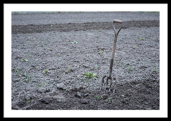 Spring Garden Fork In Freshly Turned Soil
