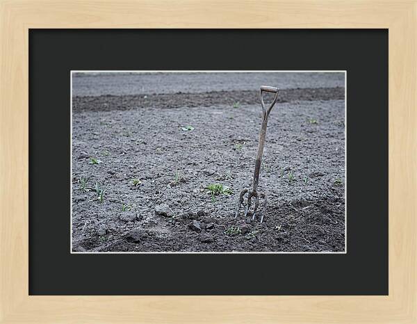 Spring Garden Fork In Freshly Turned Soil