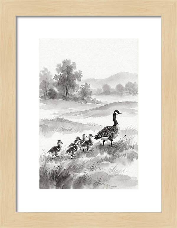 Spring Goslings Following Mother