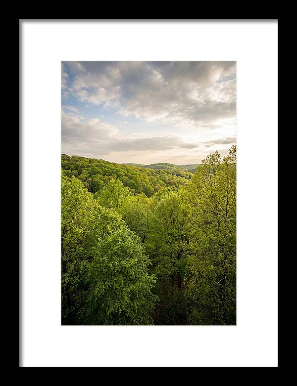 Spring Green Serenity