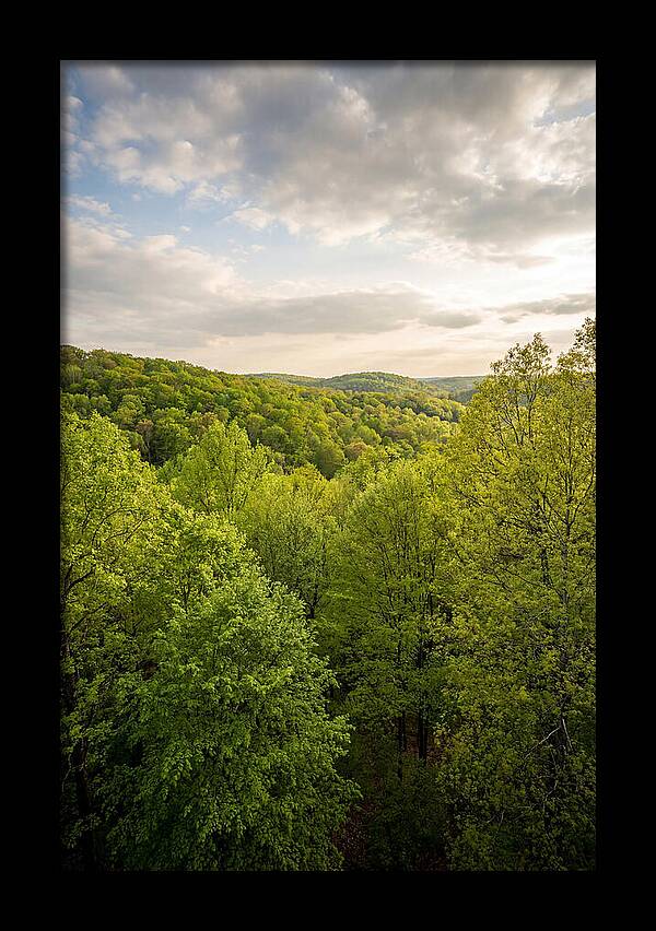 Spring Green Serenity