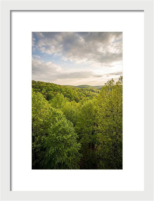 Spring Green Serenity