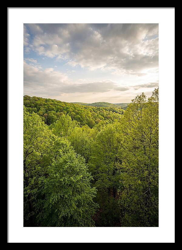 Spring Green Serenity