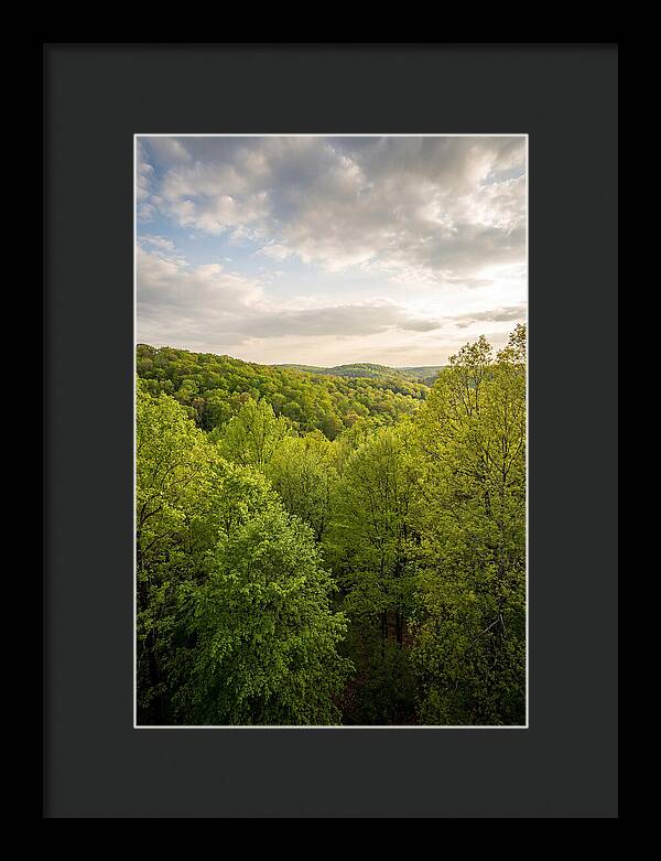 Spring Green Serenity