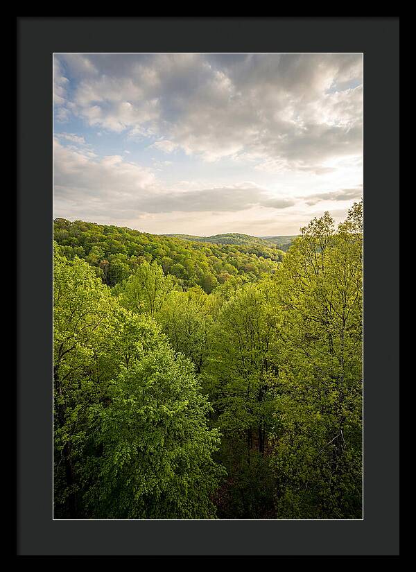 Spring Green Serenity
