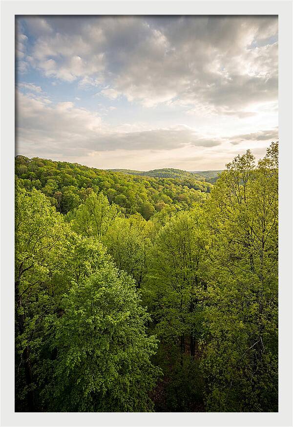 Spring Green Serenity