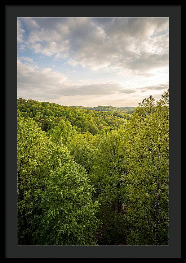 Spring Green Serenity