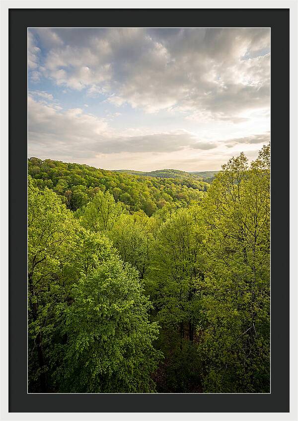 Spring Green Serenity