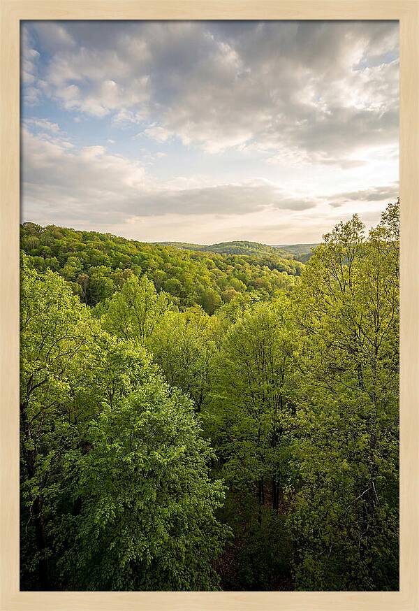 Spring Green Serenity