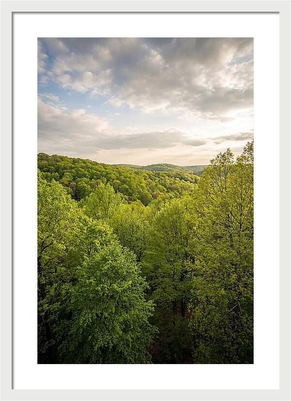 Spring Green Serenity
