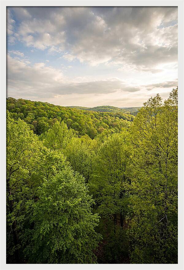 Spring Green Serenity