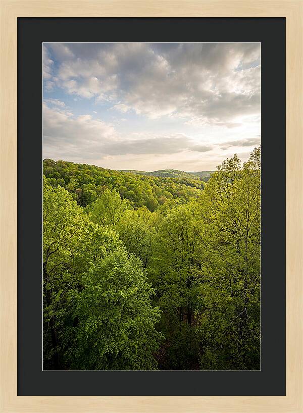Spring Green Serenity