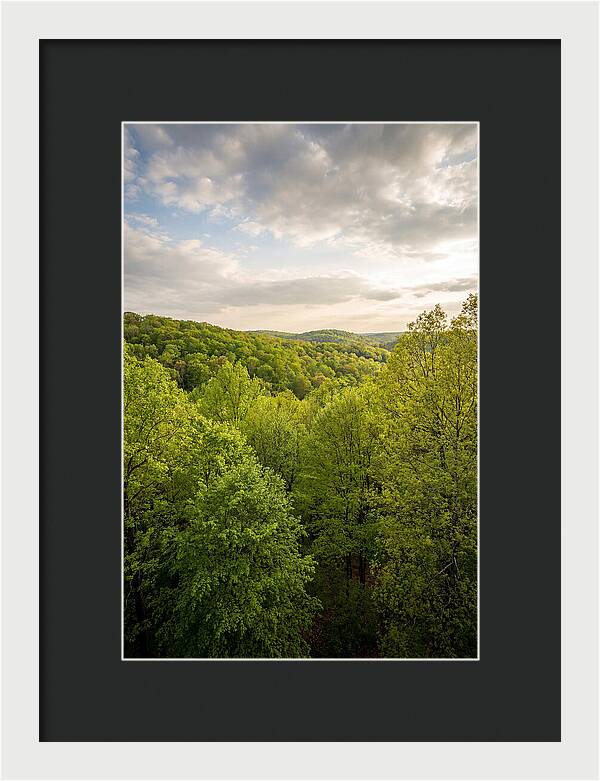 Spring Green Serenity