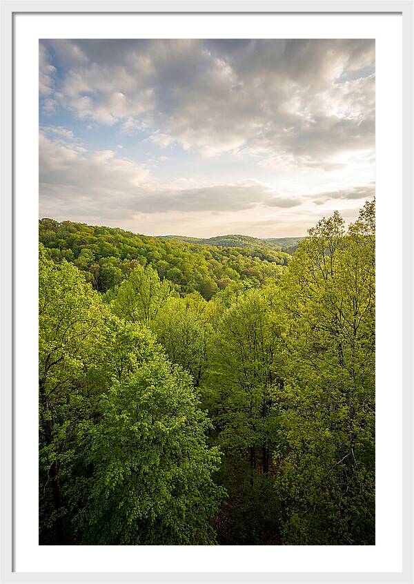 Spring Green Serenity