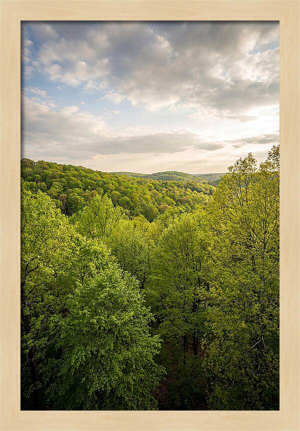 Spring Green Serenity