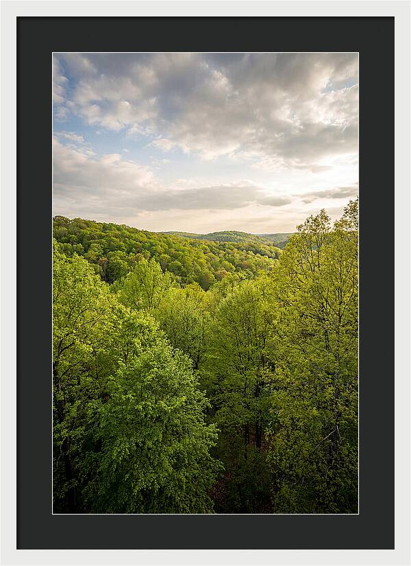 Spring Green Serenity